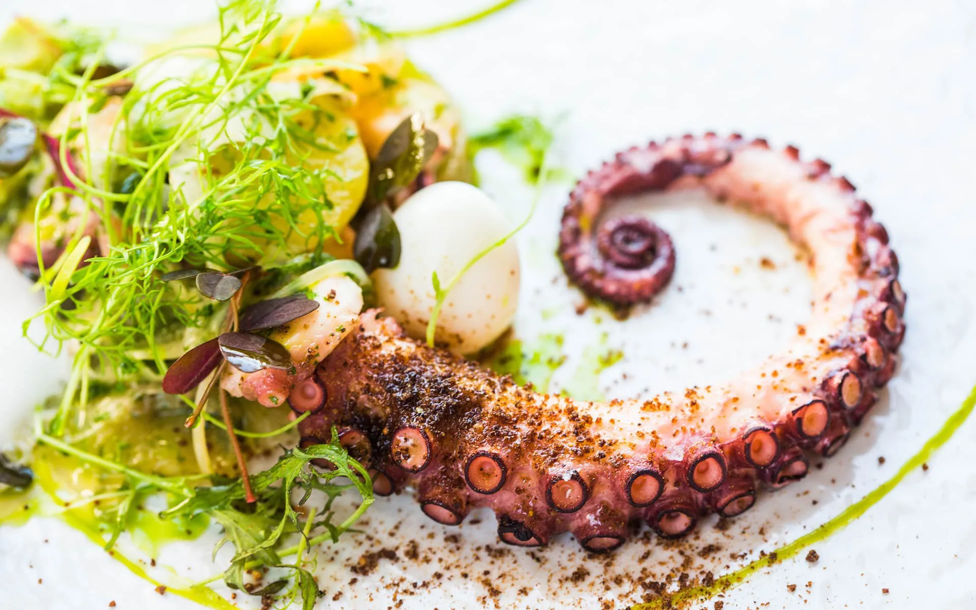 Mon Repos — food