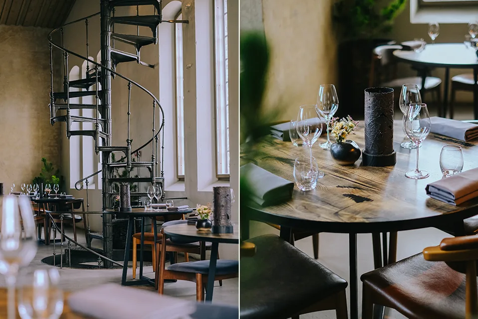 Max Cekot Kitchen — photo 10