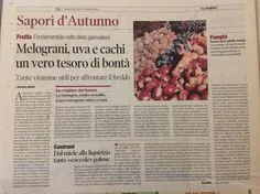Il Margutta — photo 14
