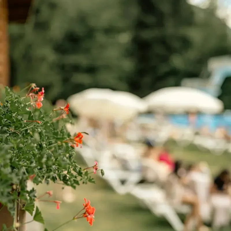 Gstaad Palace — photo 14
