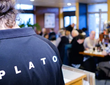 Plato — photo 8