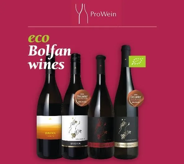 Bolfan Vinski Vrh — photo 7