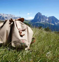 Alpenroyal Gourmet — photo 14
