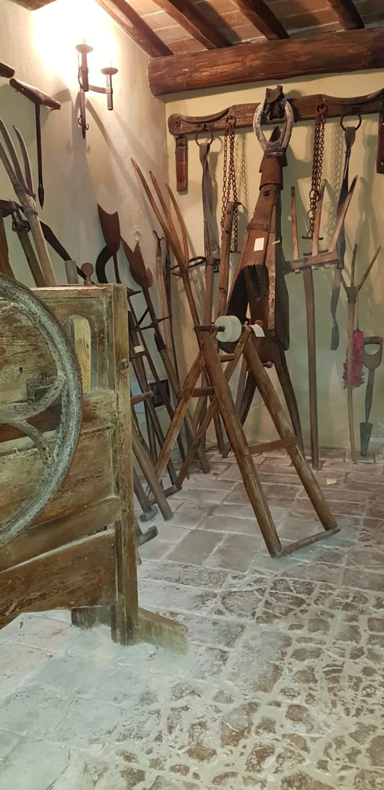 Tenuta del Gallo — photo 74