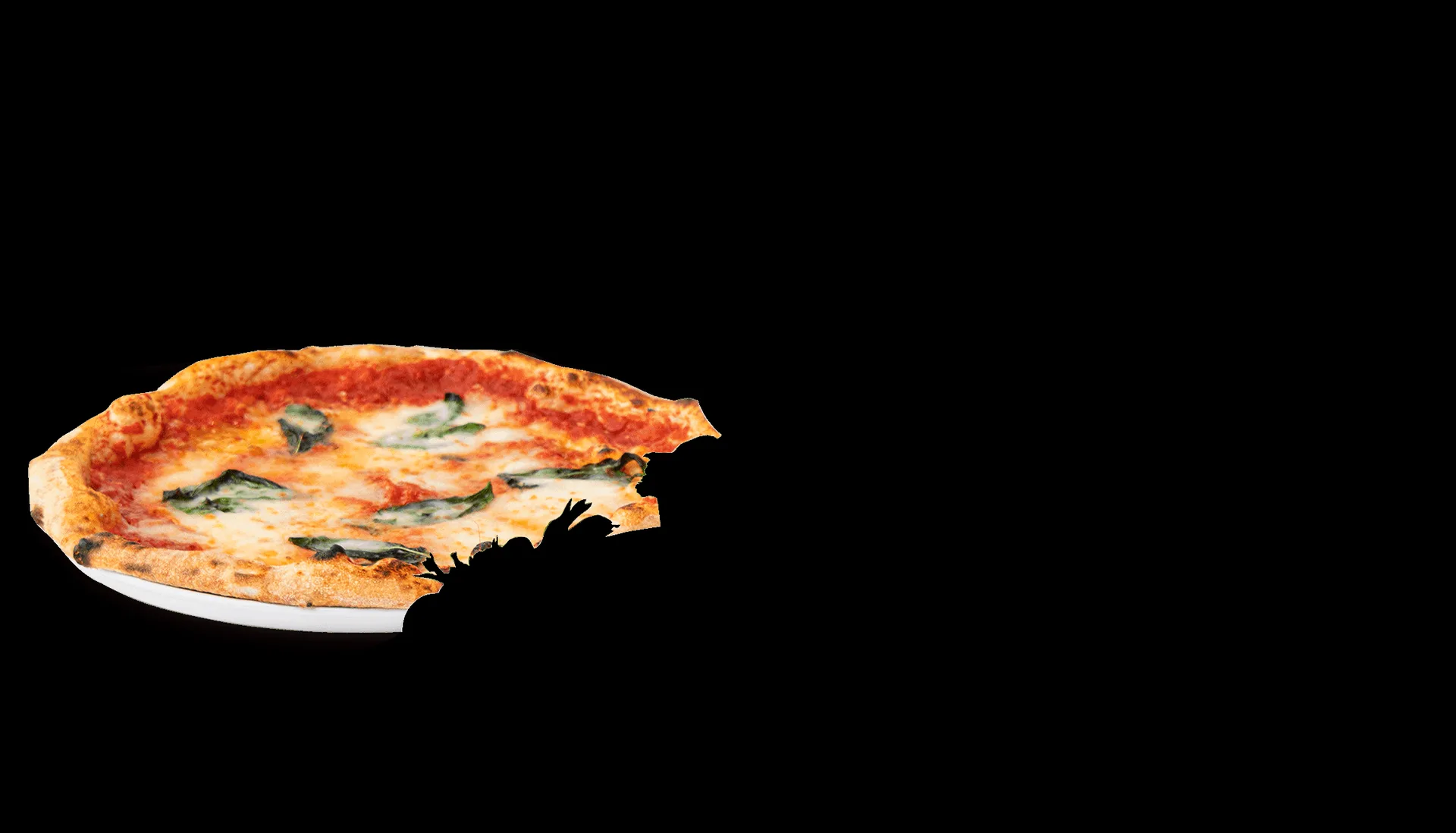 PIZZERIA TRATTORIA MAGAZZINO — photo 22
