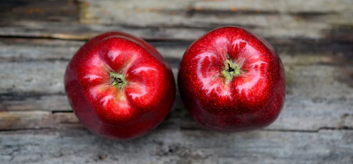 DRAGOLJUB NEW BALKAN CUISINE — photo 17