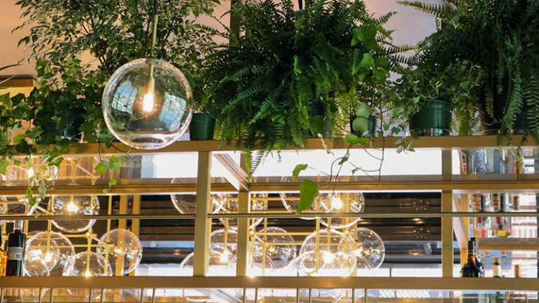 Camp Modern American Eatery — photo 11