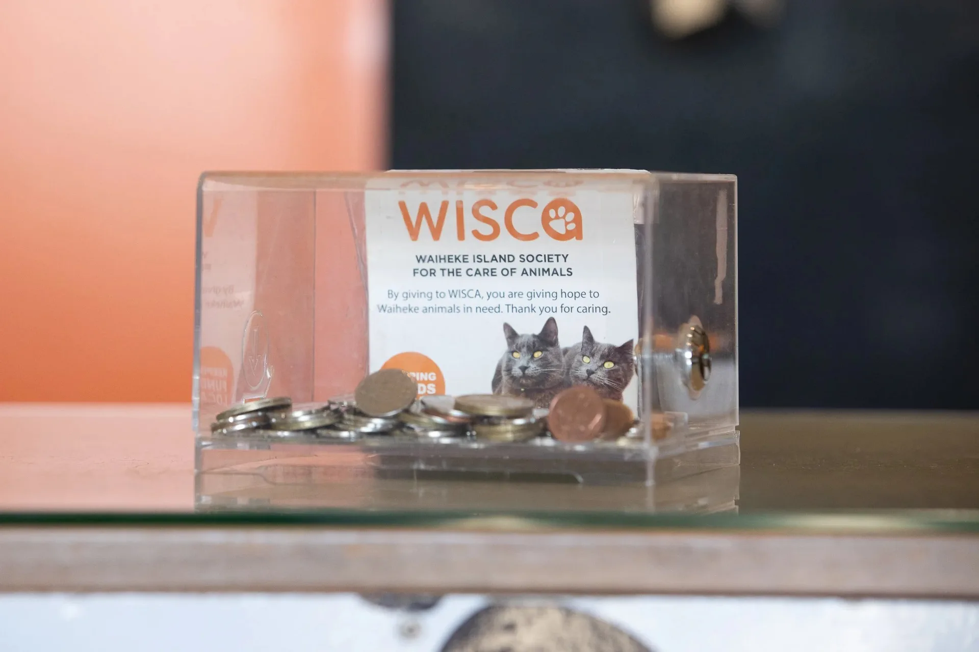 Wisca — photo 27