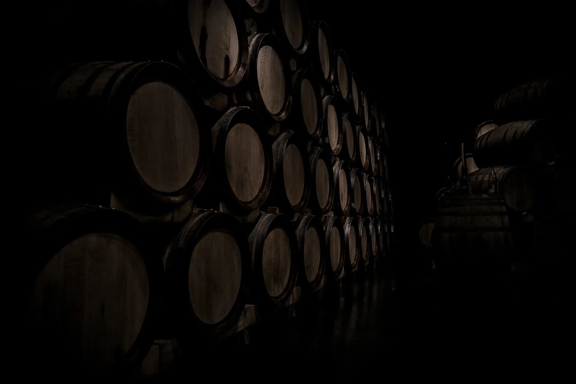 Mermaid Winery — photo 15