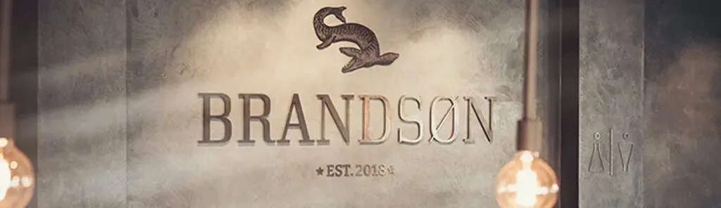 Brandson — photo 14