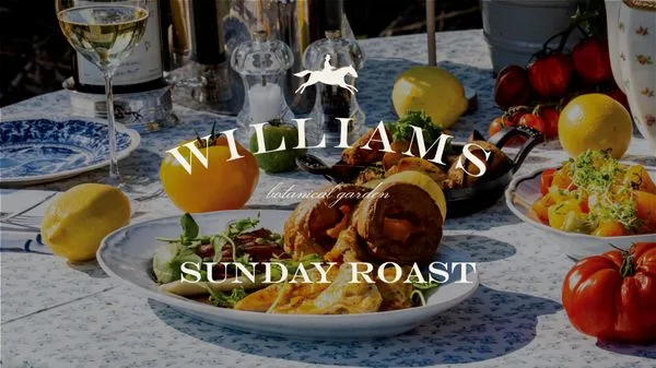 Williams Farmhouse — photo 7