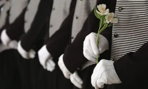 Lumière — kitchen