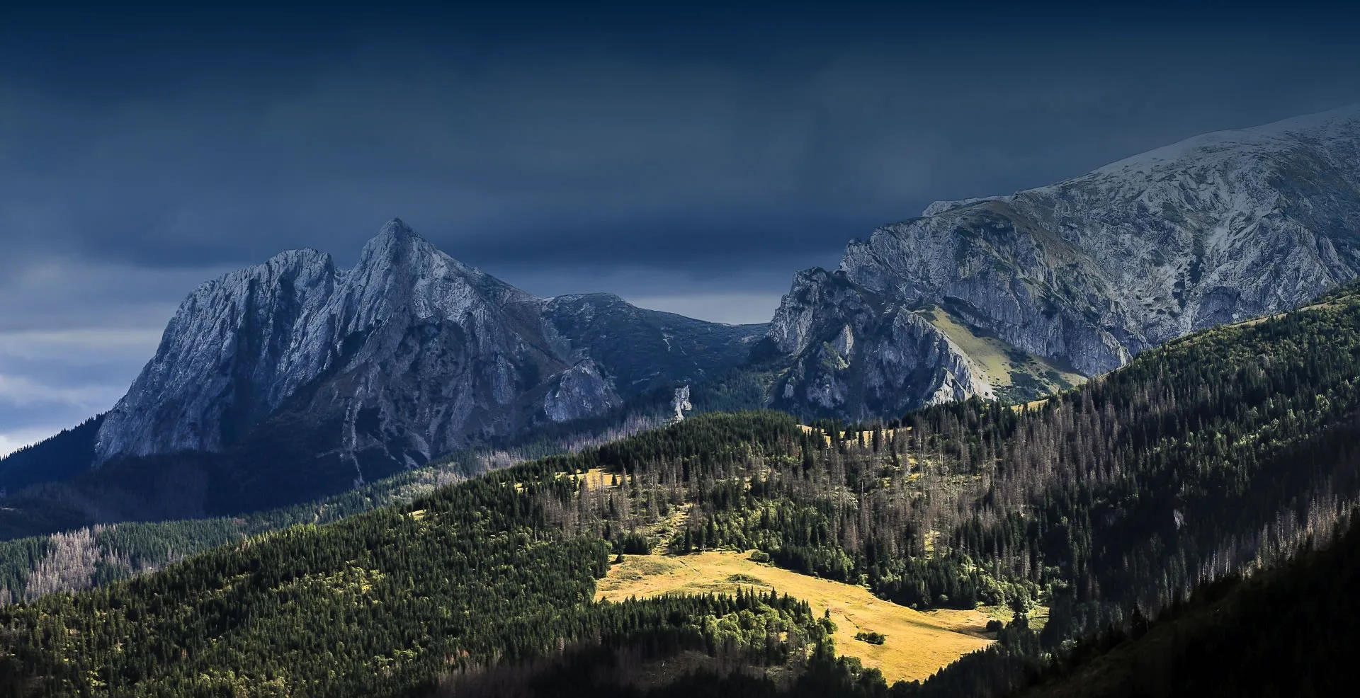 Giewont Restaurant — photo 42