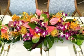 Orchids — photo 22