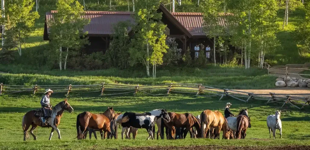 Vista Verde Ranch — photo 26