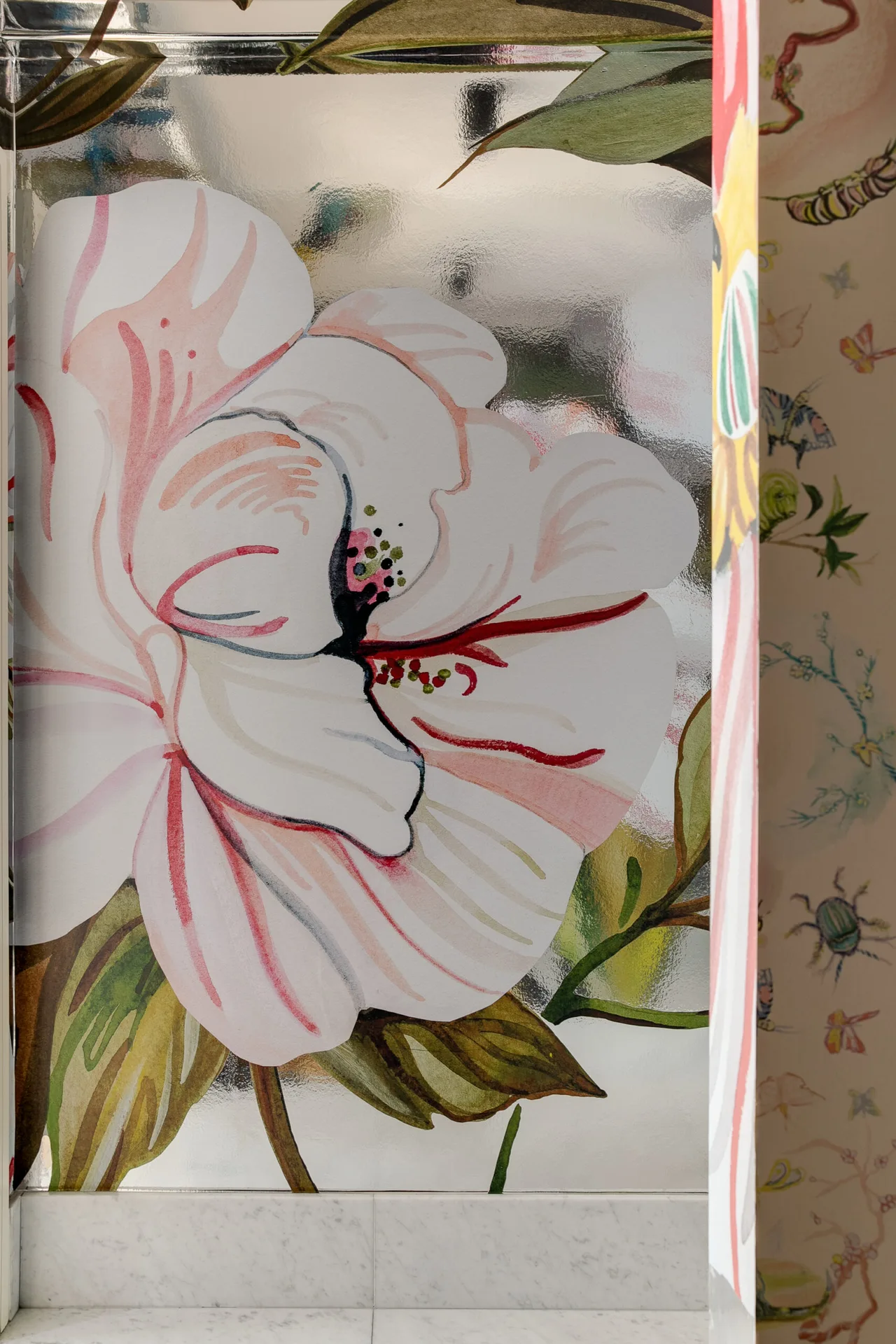 Lilium — photo 39
