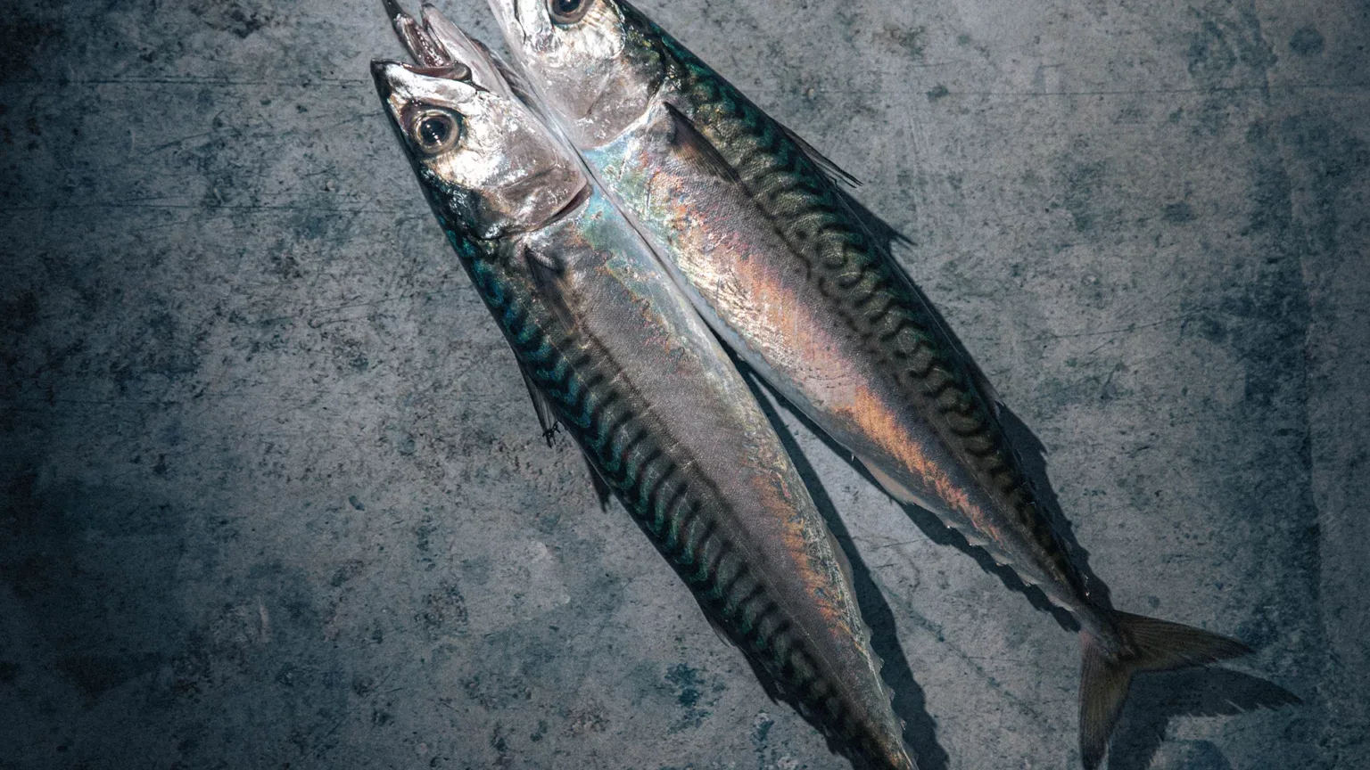Saba — photo 37