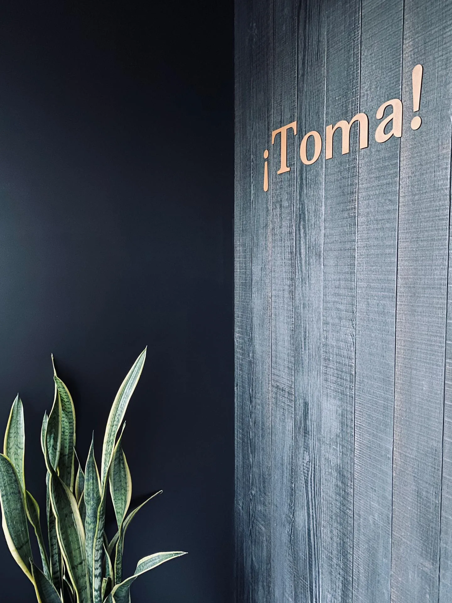 Toma — photo 48