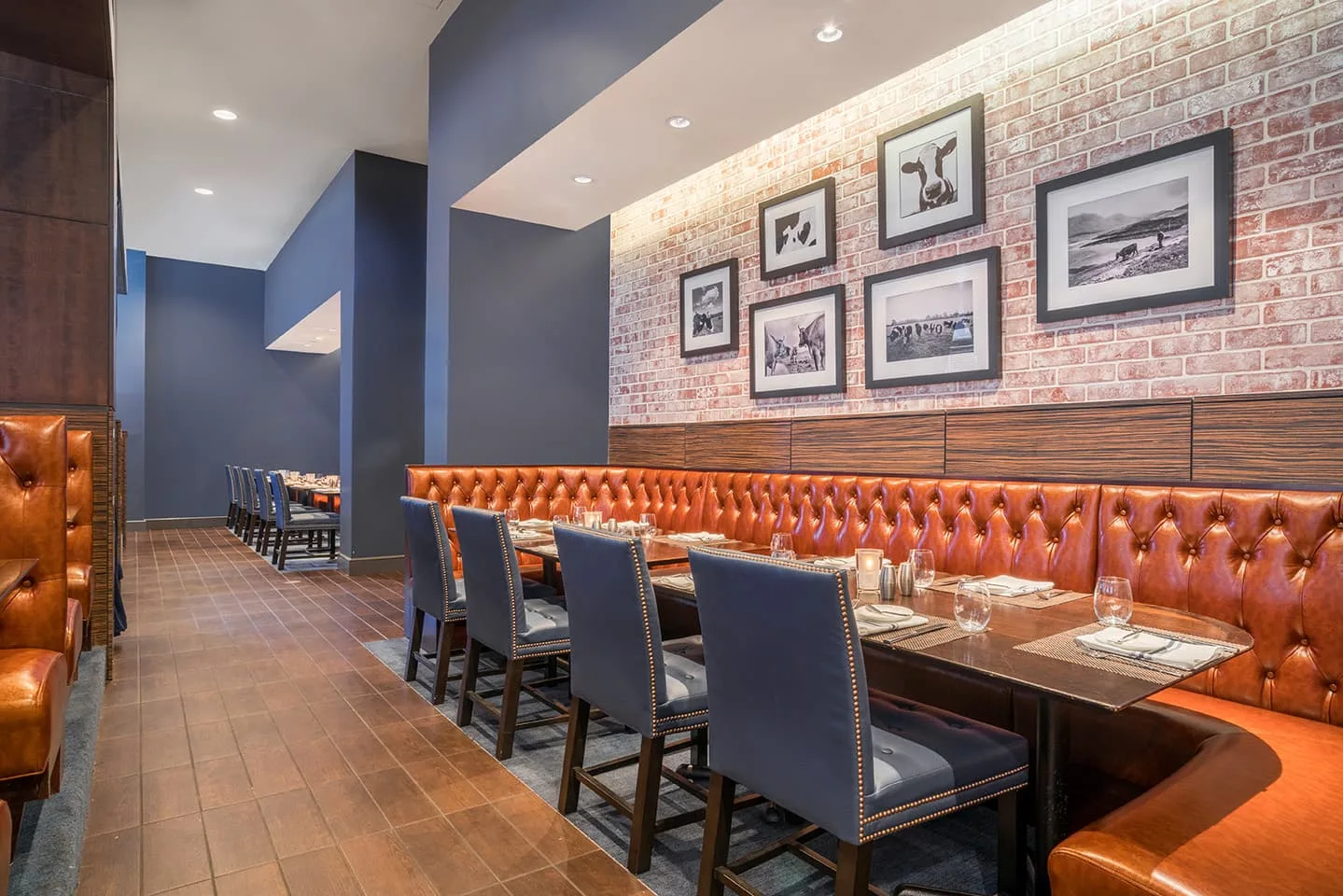 Bloomington Chophouse — photo 15