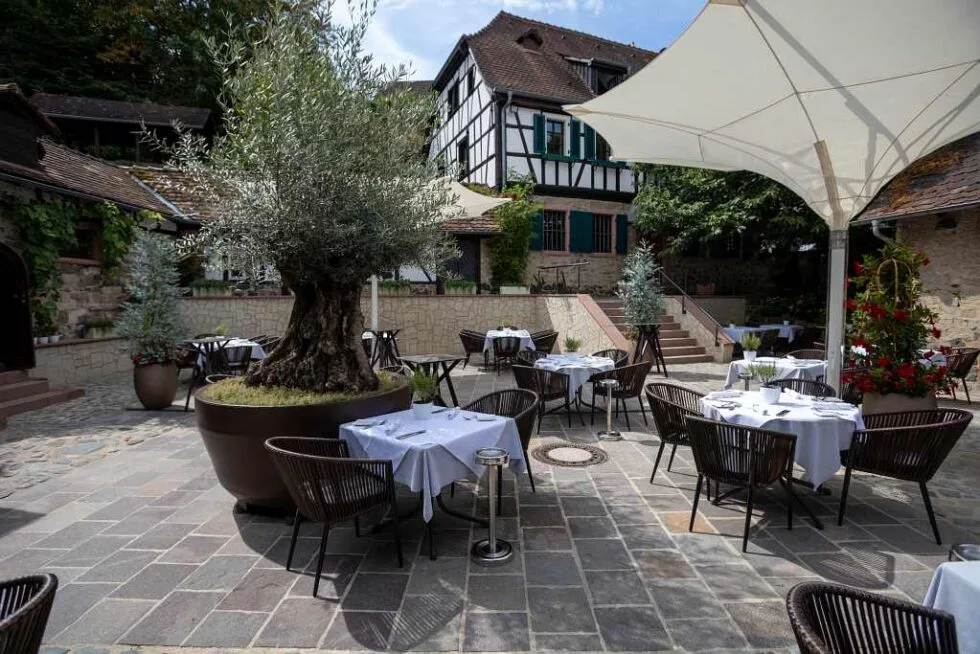 Restaurant Mühlstein — photo 31