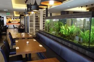 Sushi Sei Autentikus Japán étterem — photo 7