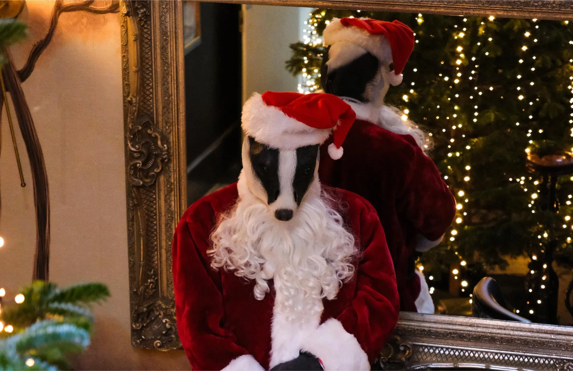 The Fat Badger — photo 10