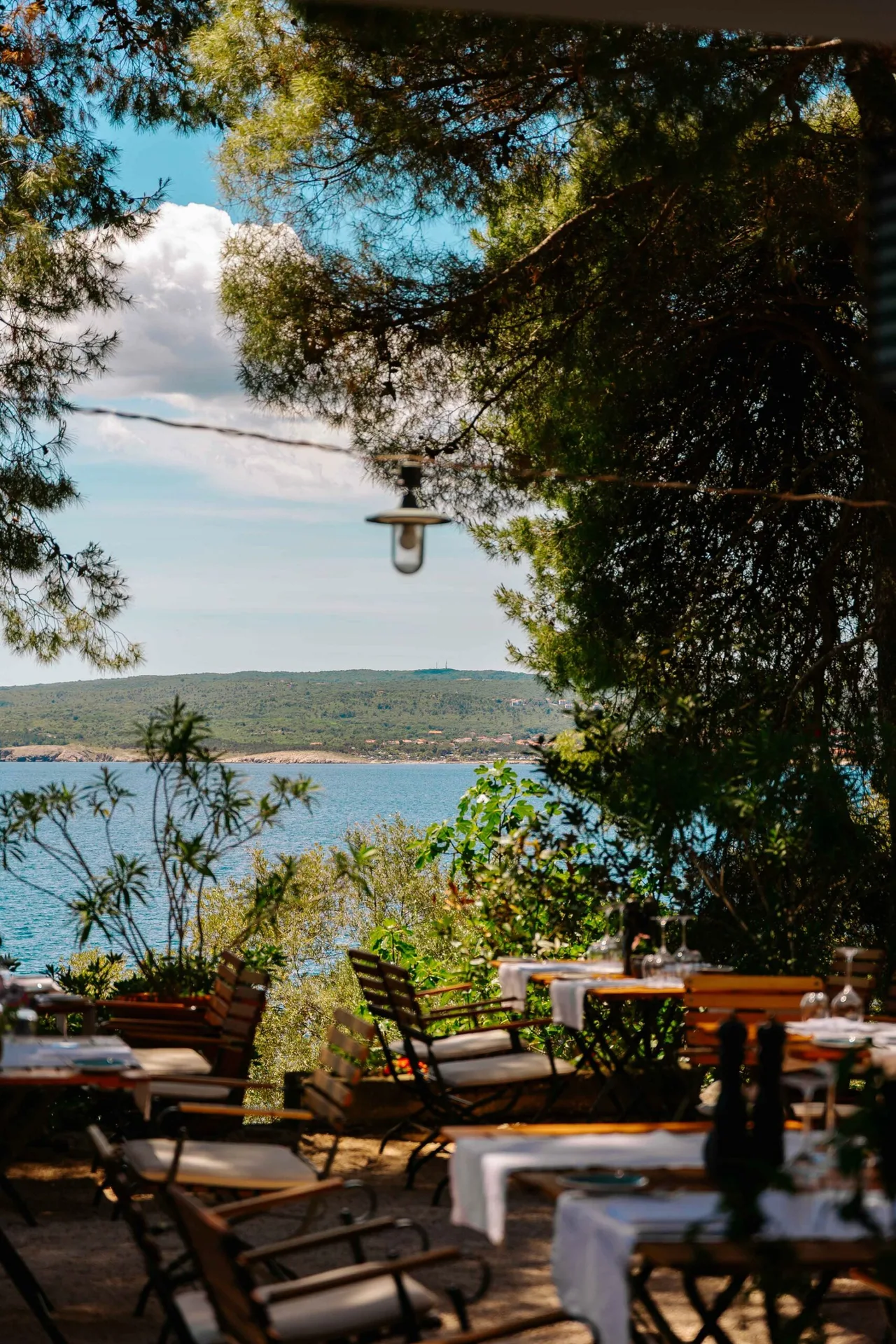 Restaurant Dida — photo 48