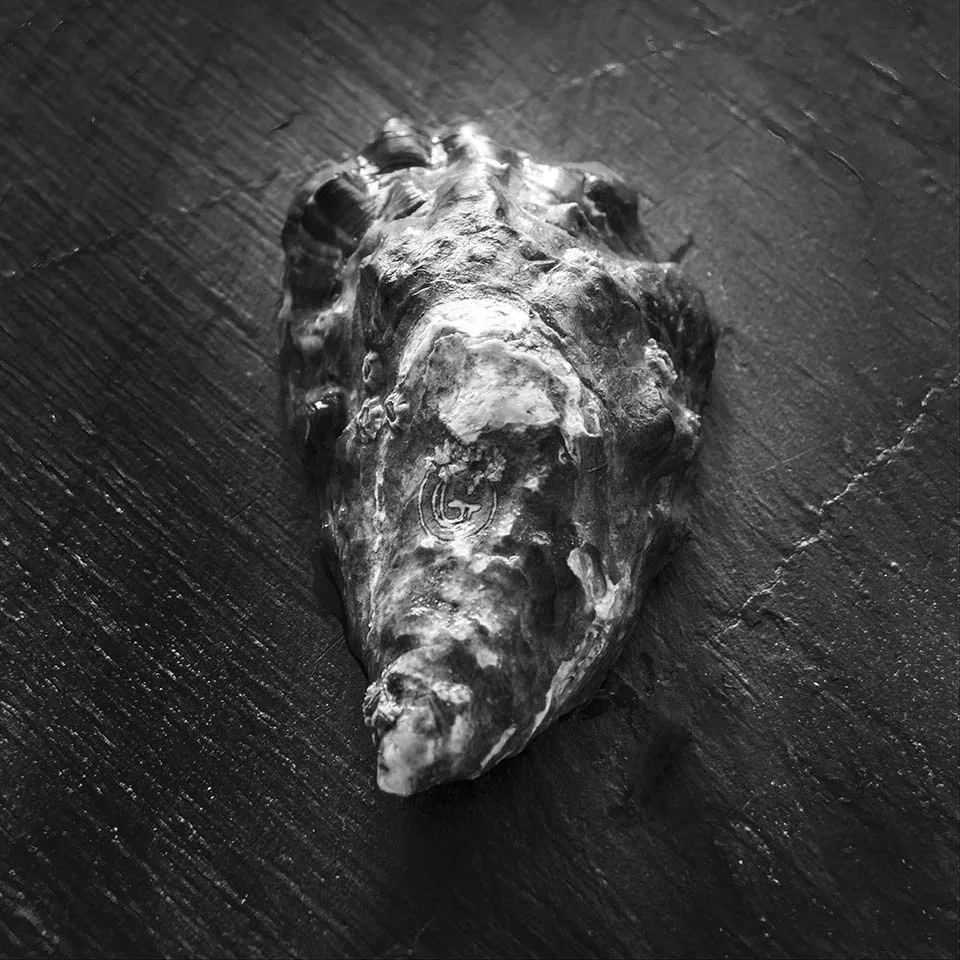 Vince Ristorante — photo 15