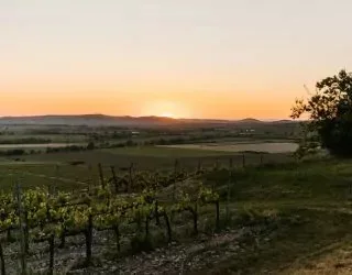 Talu, Tarcal
