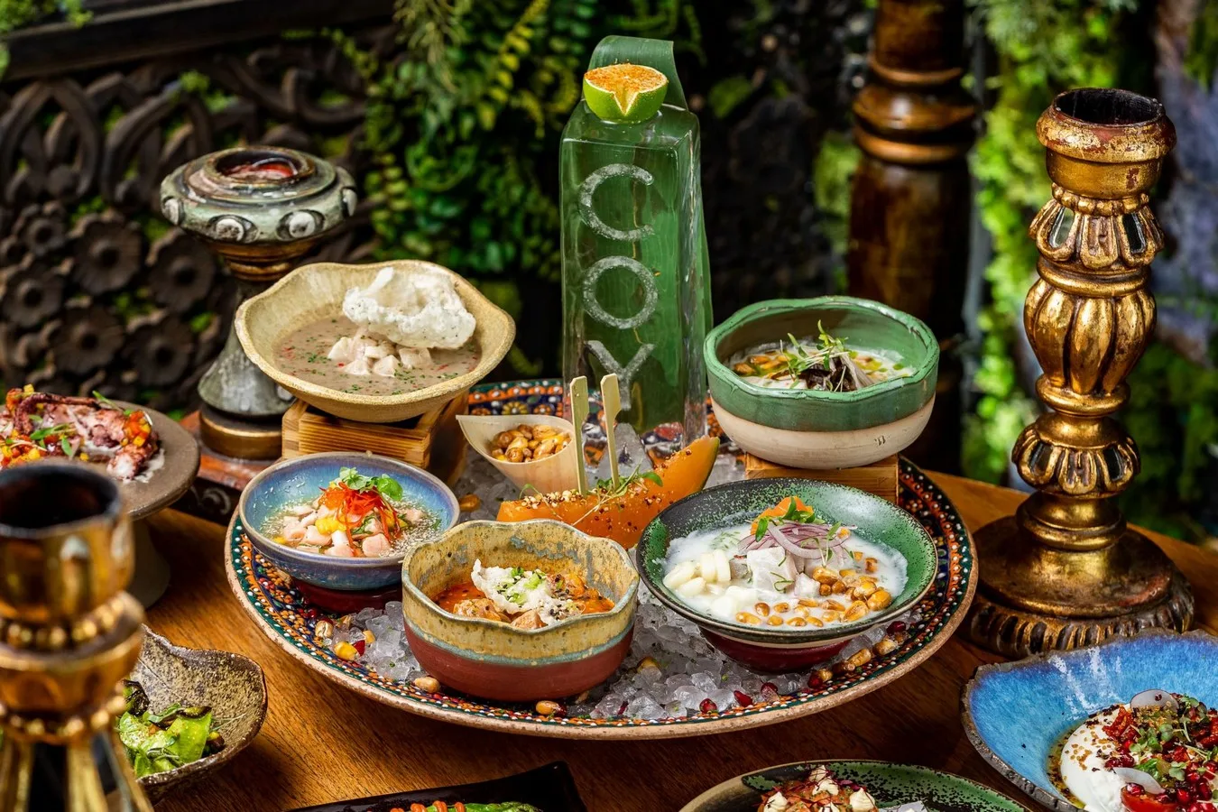 Coya — photo 7