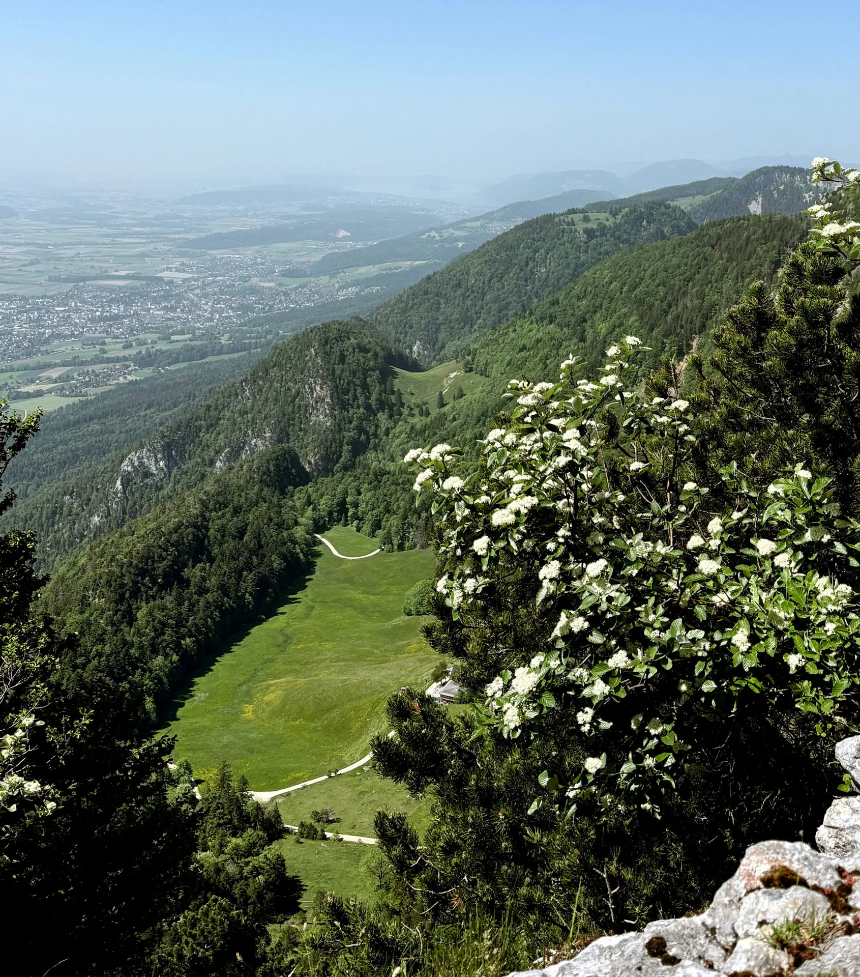 La Couronne — photo 37