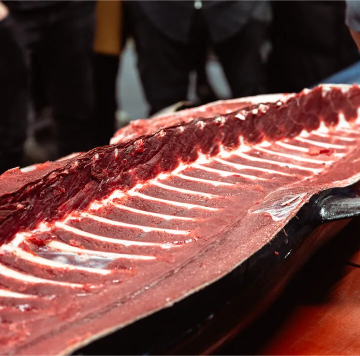 Hummer Pedersen — photo 8