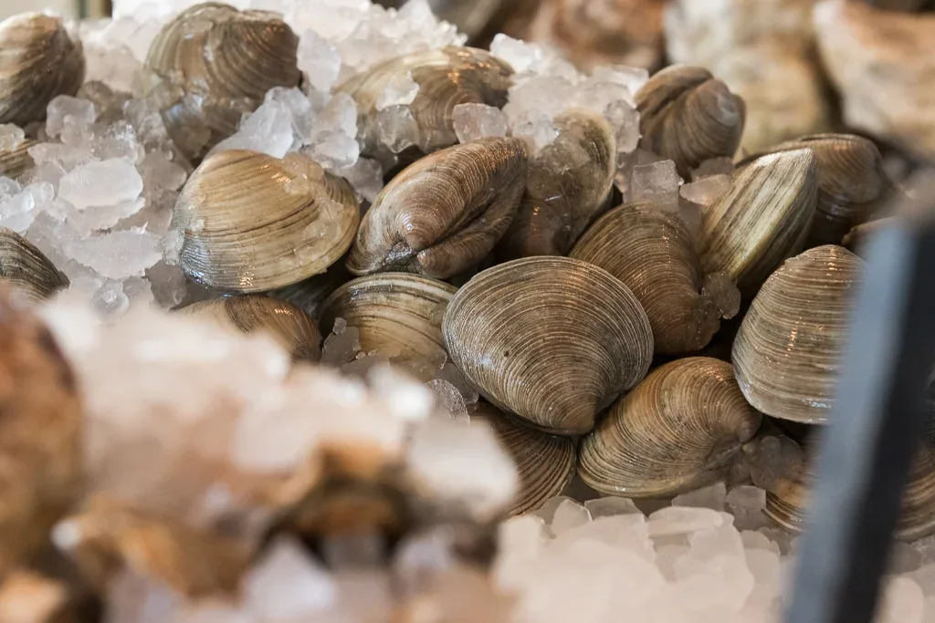Shell & Bones Oyster Bar and Grill — photo 10