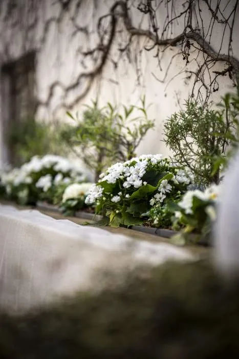 La Table du 5 — photo 9