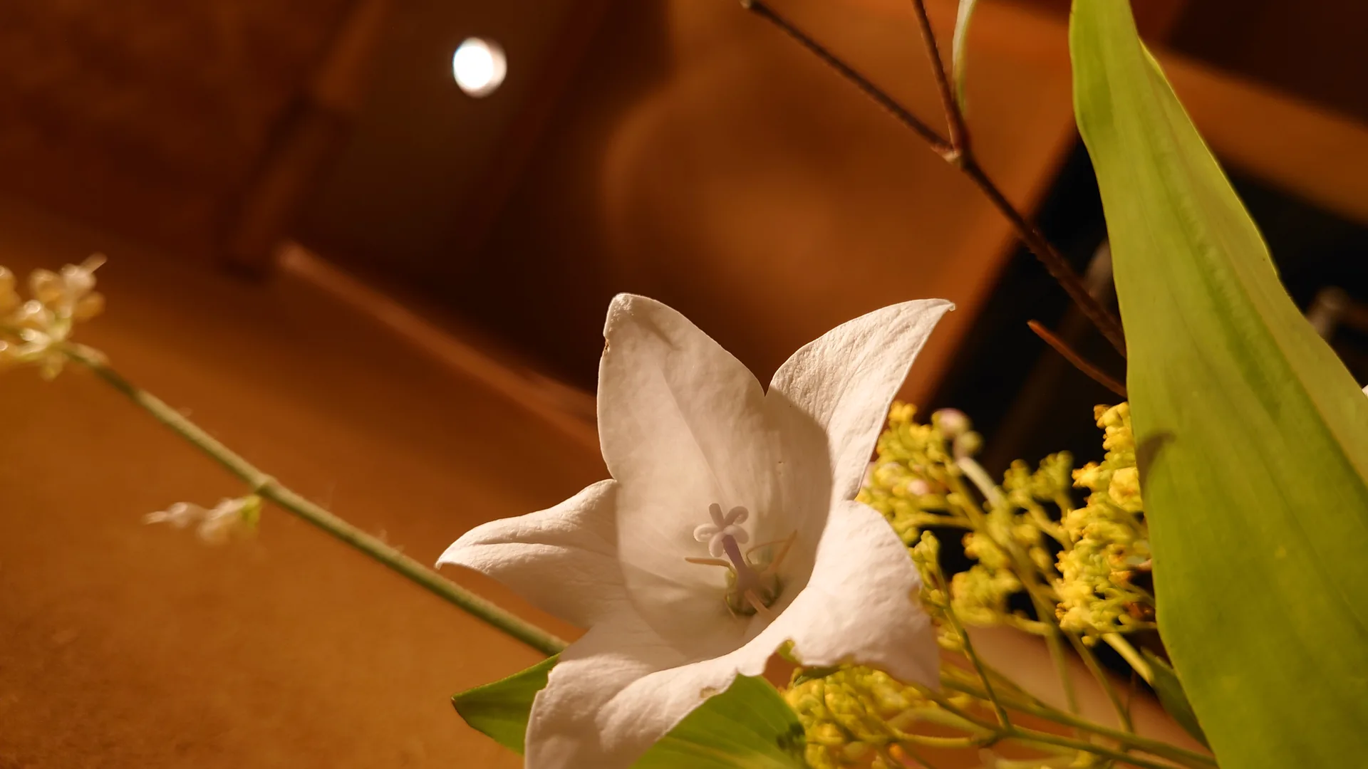 Nihonryori Tanryu — photo 37