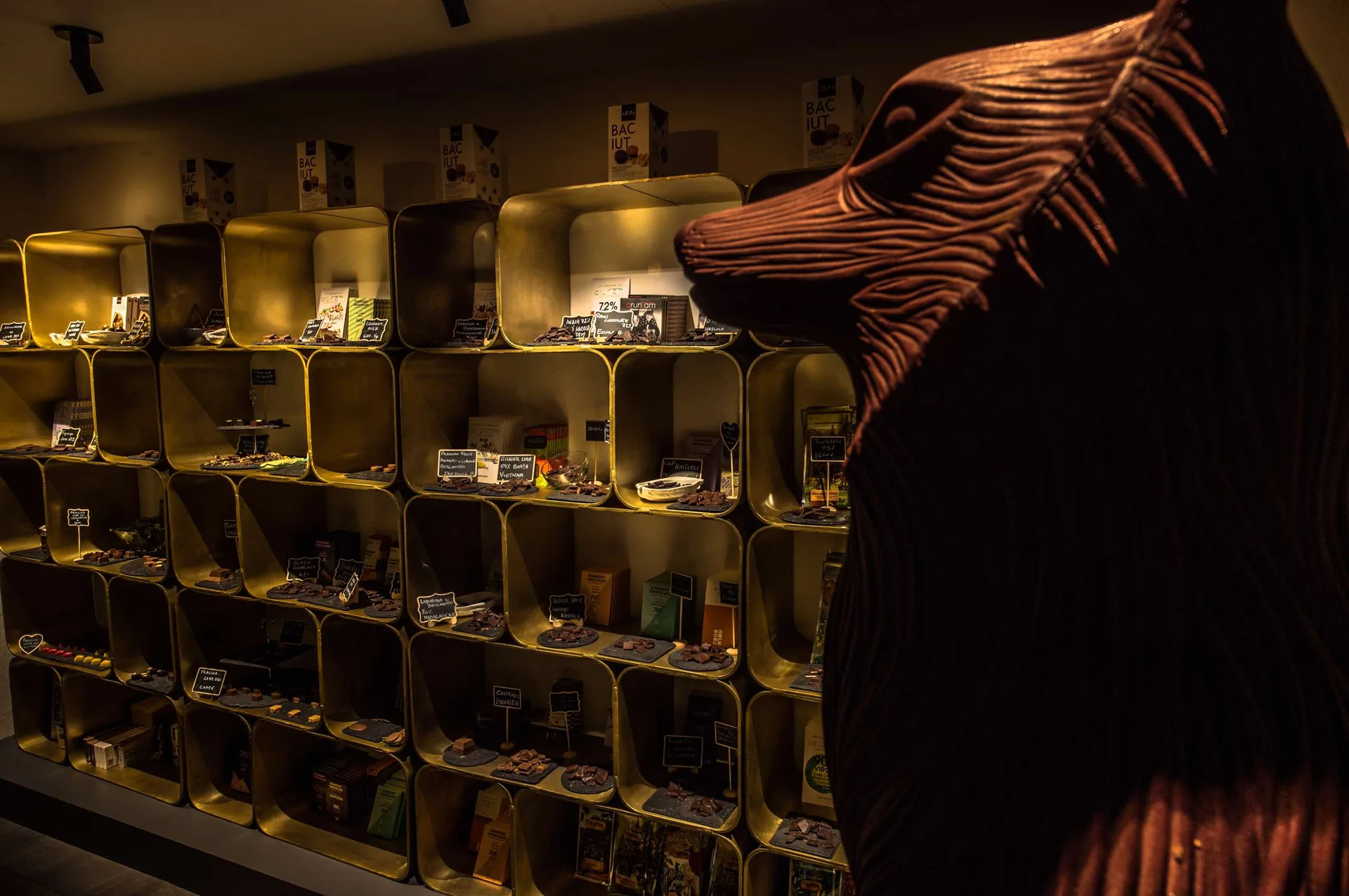 Cocun Cellar Restaurant — atmosphere