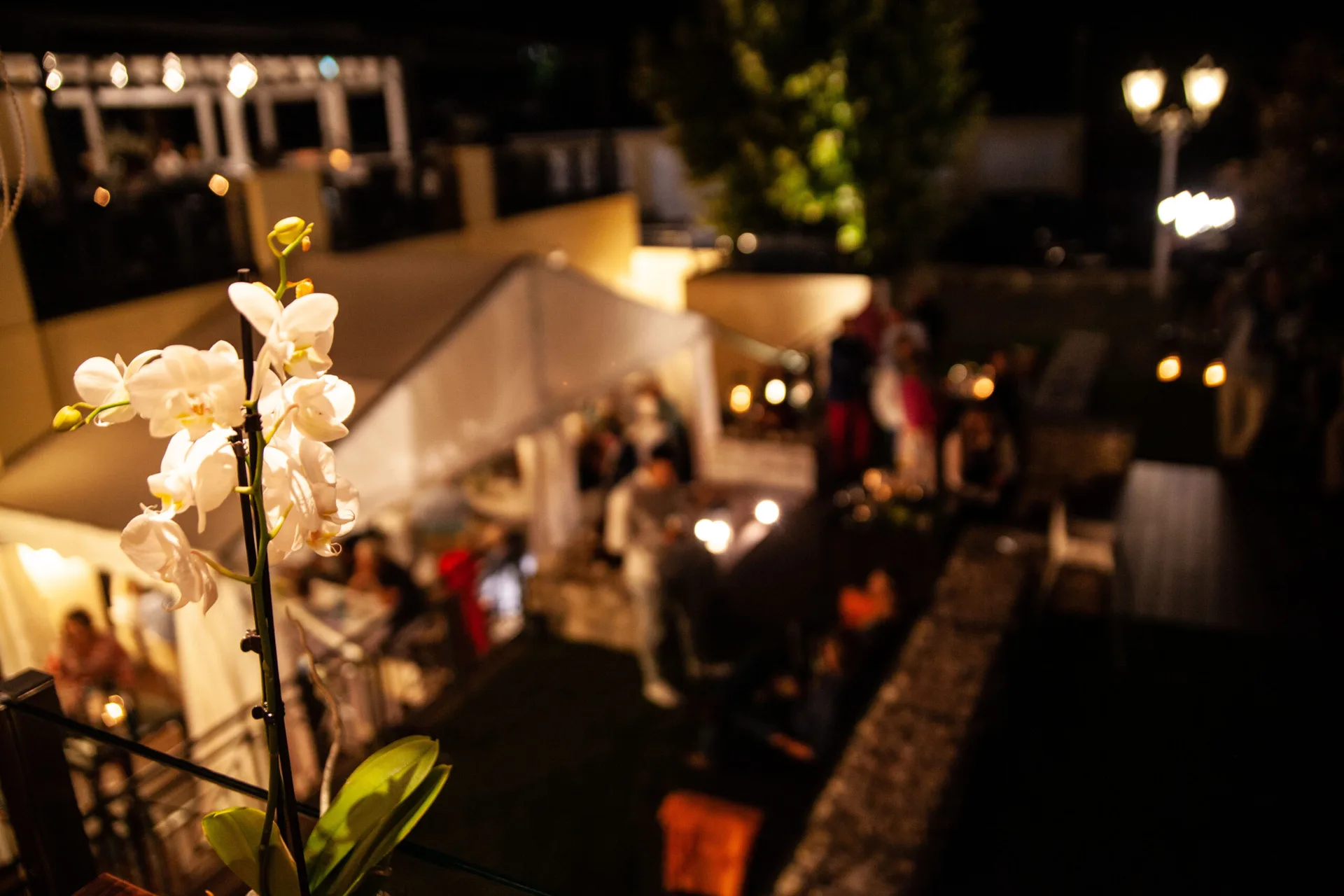 Restaurant Dresel — photo 44