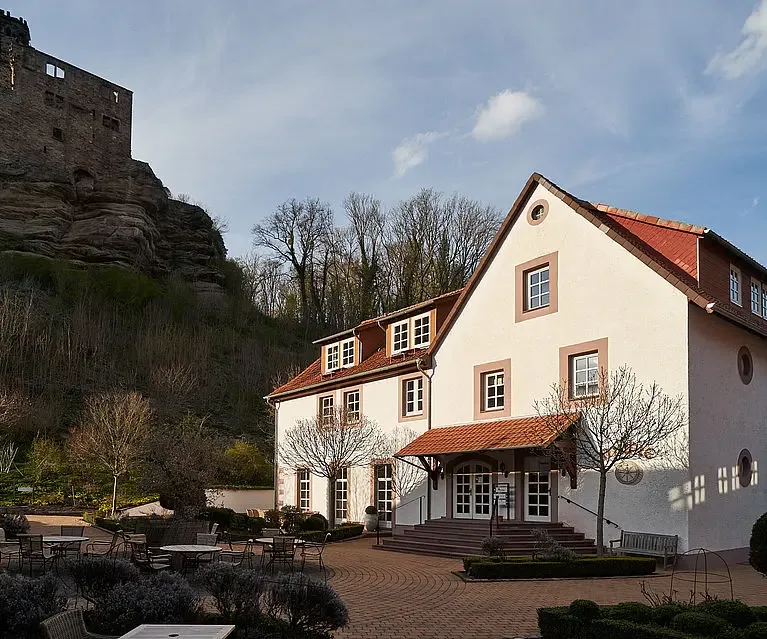 Novalis — photo 19