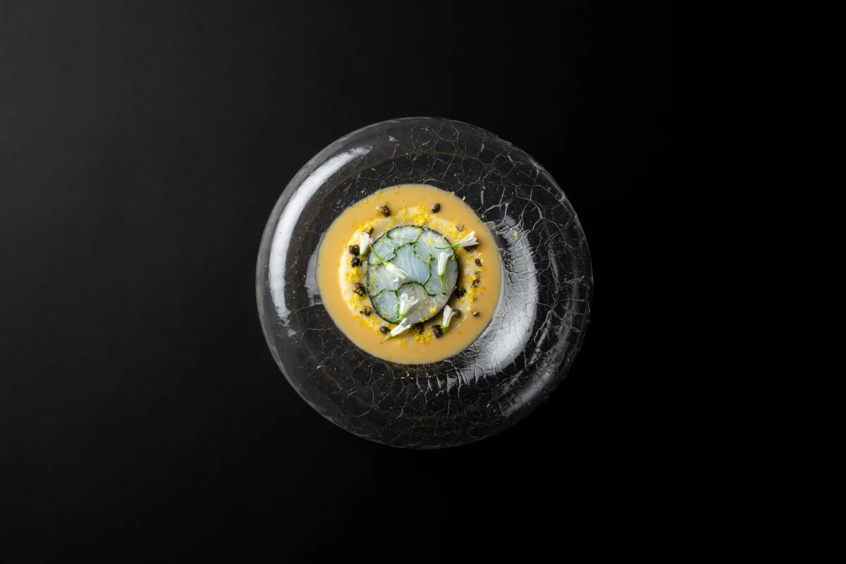Le Vugo — photo 19
