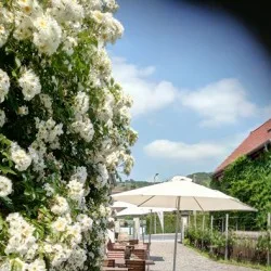 Restaurant Gaumenkitzel — photo 26