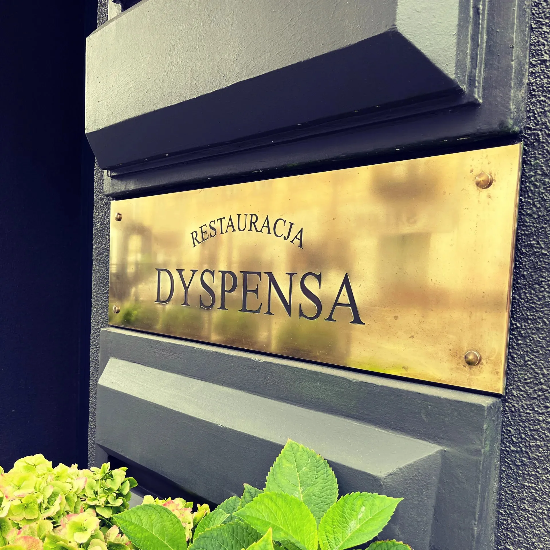 Dyspensa — photo 131