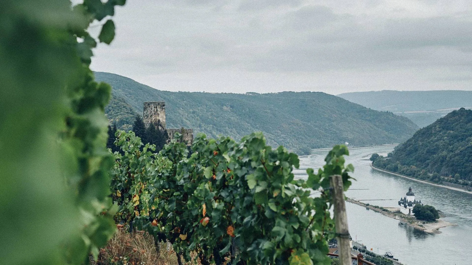FETZ - Das Loreley Hotel — photo 54