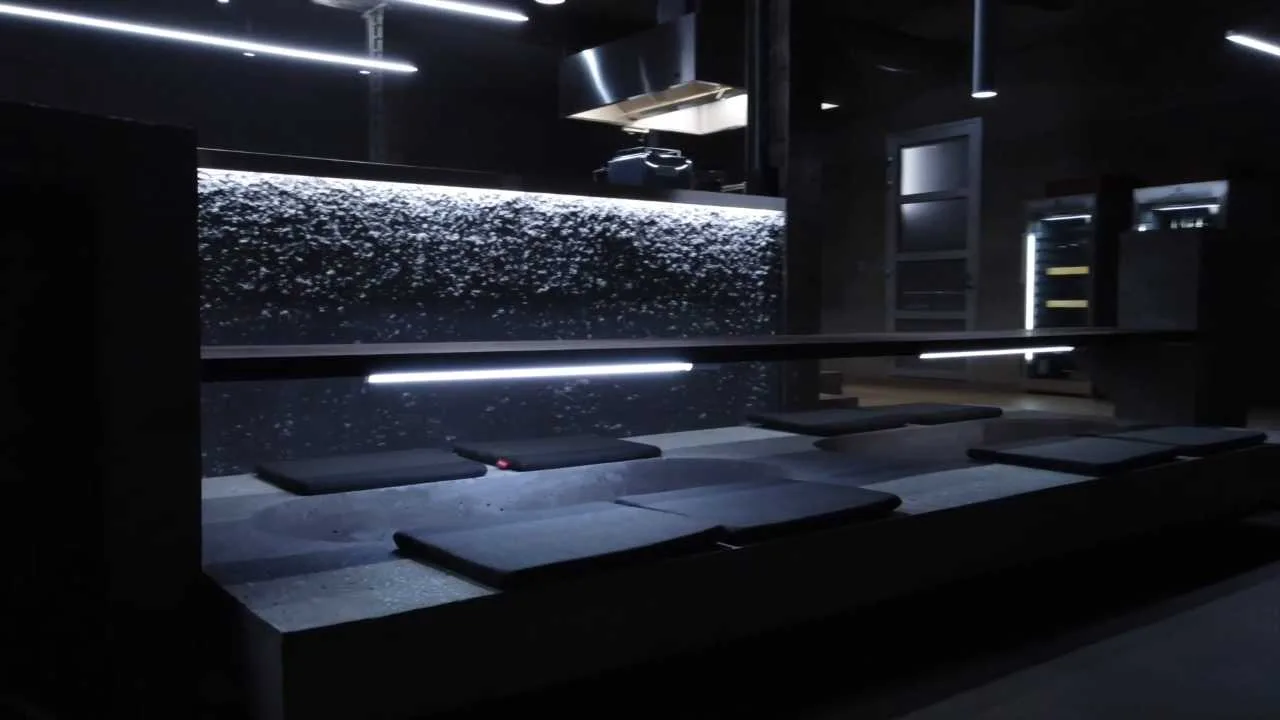 DOJO 2.0 — photo 39