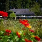 Bistro LOF — photo 39