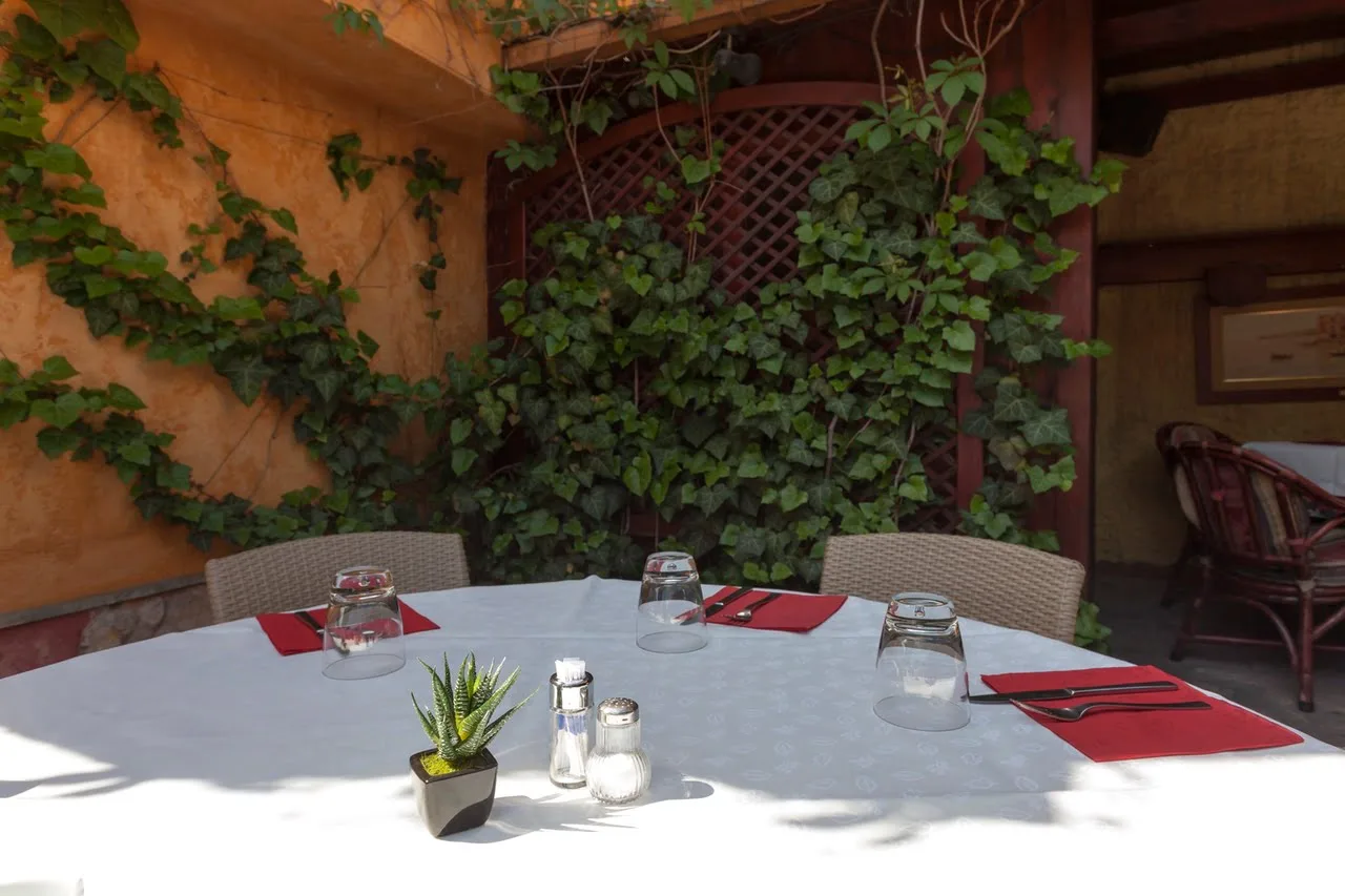 RESTORAN PIZZERIA BELLA NAPOLI KOD GARIĆA — photo 7