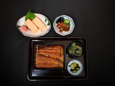 Unagino Toyokawa — photo 20