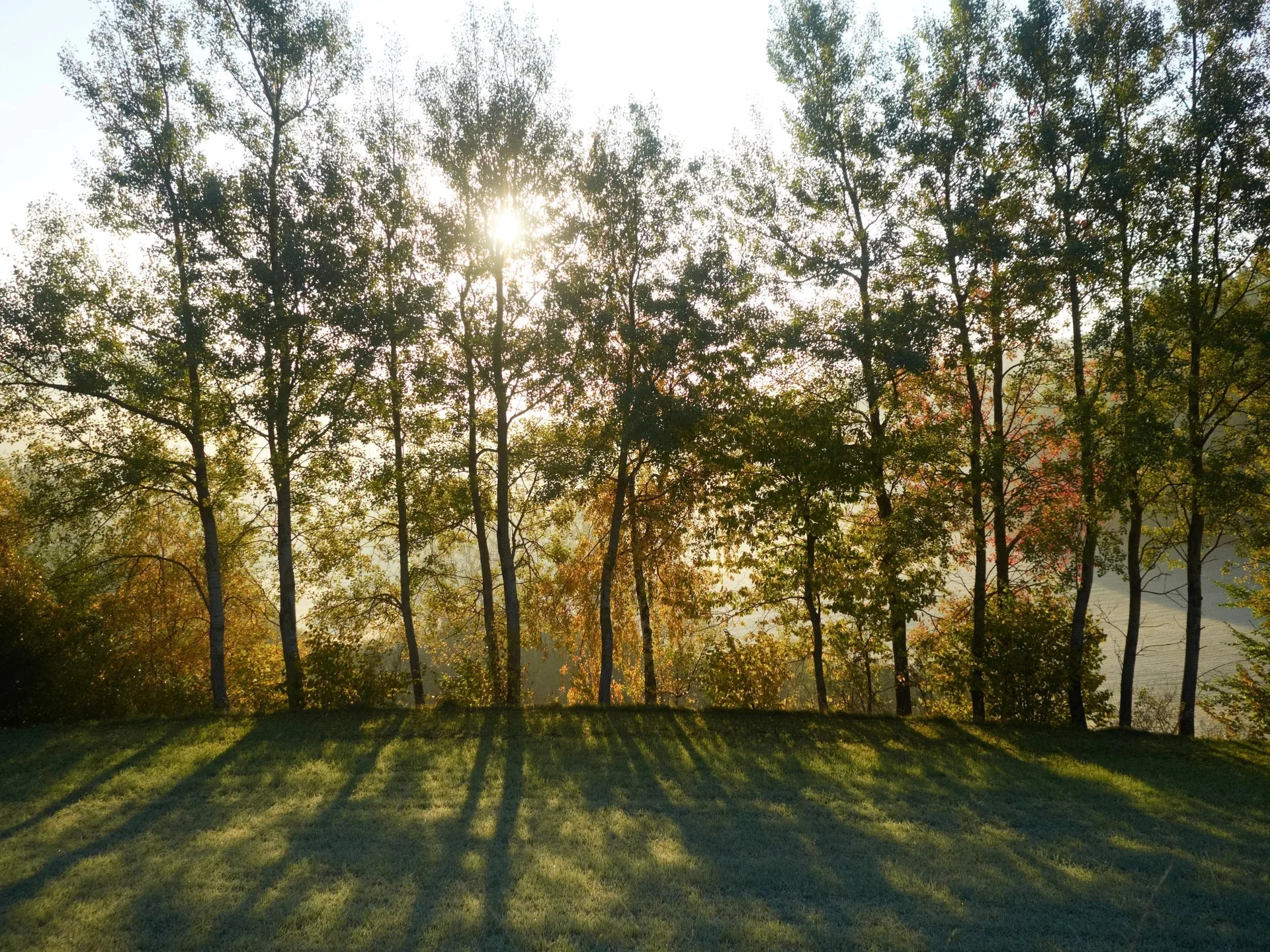 Kolm — photo 25