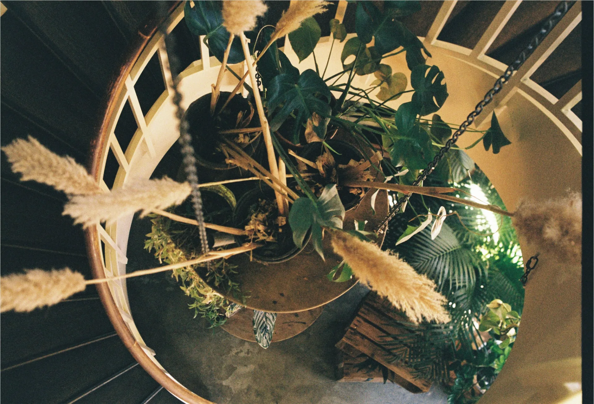 House of Small Wonder — photo 34