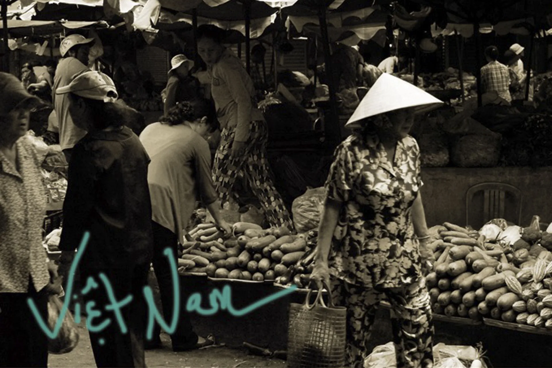 Yin Lu — photo 12