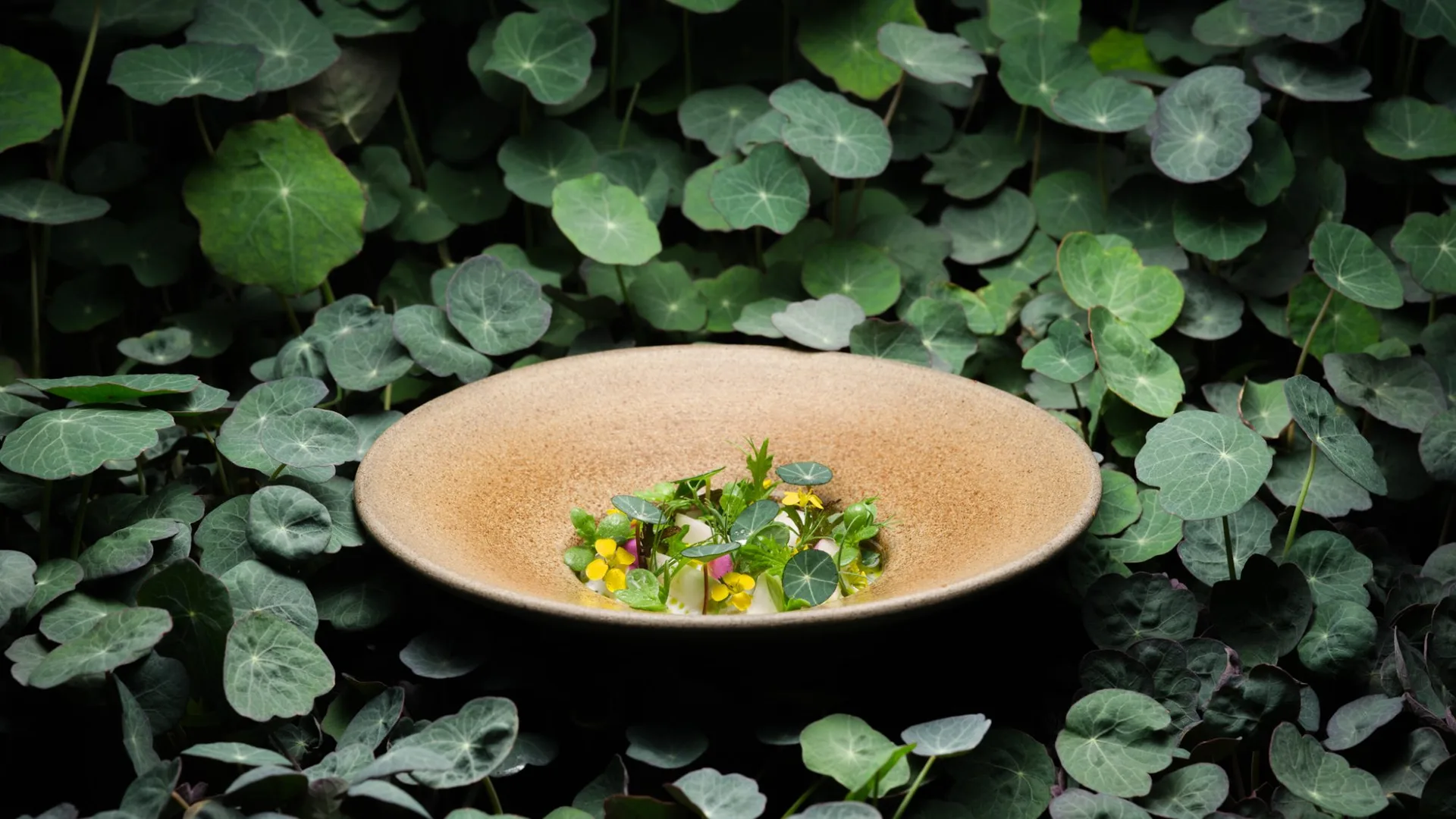 L'Enclume — photo 10